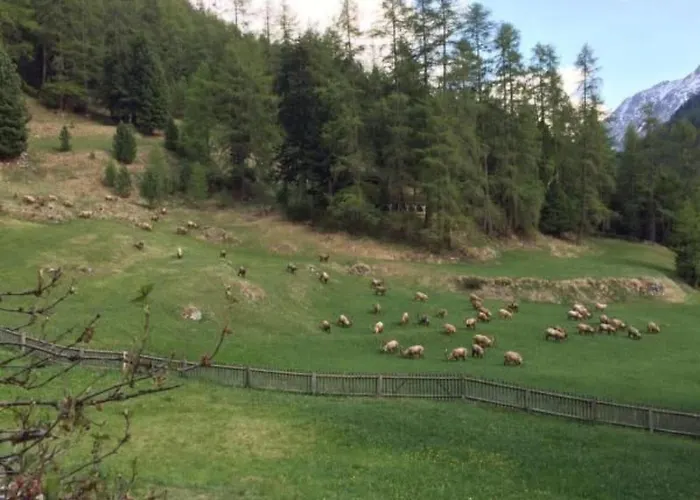 Apartment Chesa Melchior By Interhome